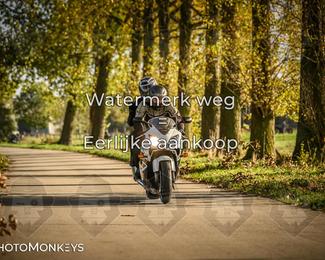 Herfstrit Moerzeke photo