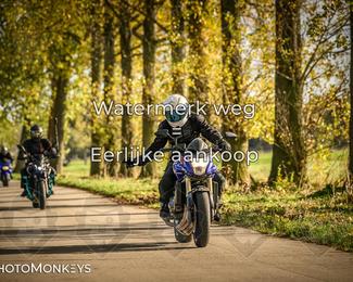 Herfstrit Moerzeke photo