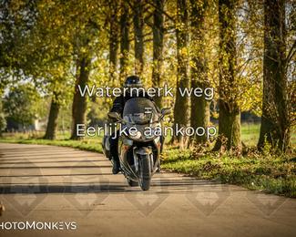 Herfstrit Moerzeke photo