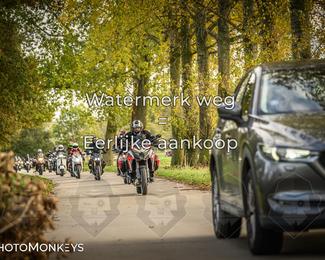 Herfstrit Moerzeke photo