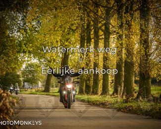 Herfstrit Moerzeke photo