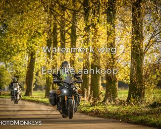 Herfstrit Moerzeke photo