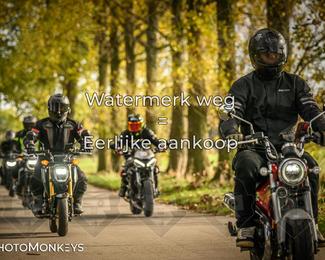 Herfstrit Moerzeke photo