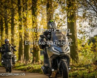 Herfstrit Moerzeke photo