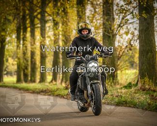 Herfstrit Moerzeke photo