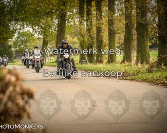 Herfstrit Moerzeke photo