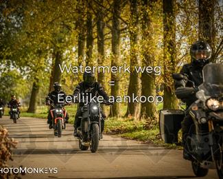 Herfstrit Moerzeke photo