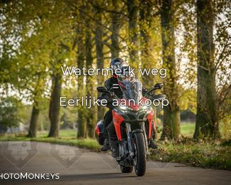 Herfstrit Moerzeke photo