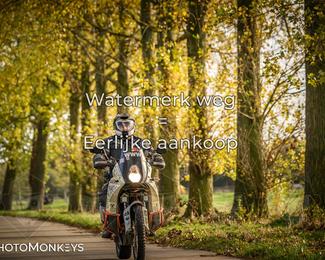 Herfstrit Moerzeke photo