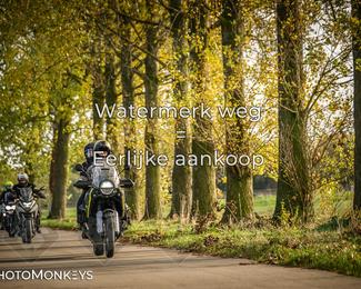 Herfstrit Moerzeke photo