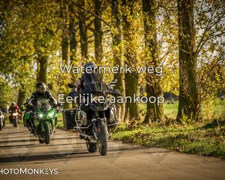 Herfstrit Moerzeke photo