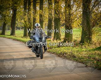 Herfstrit Moerzeke photo