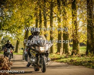 Herfstrit Moerzeke photo