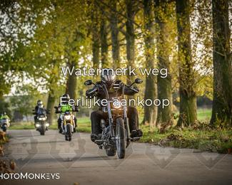 Balade d’automne Moerzeke photo