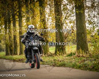 Herfstrit Moerzeke photo