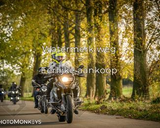 Herfstrit Moerzeke photo