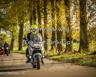 Herfstrit Moerzeke photo