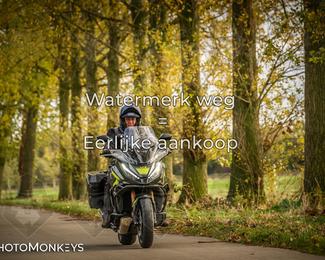 Herfstrit Moerzeke photo