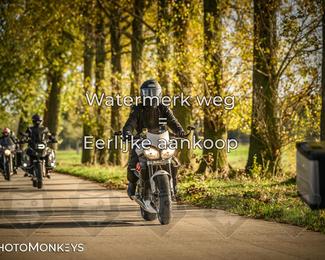 Herfstrit Moerzeke photo