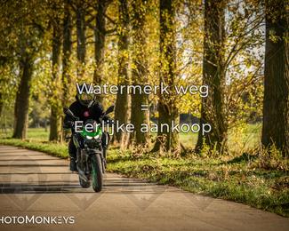 Herfstrit Moerzeke photo