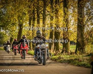 Herfstrit Moerzeke photo