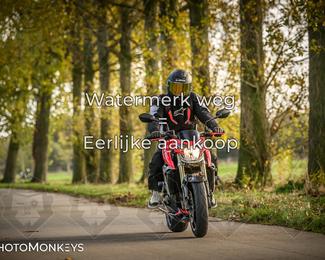 Herfstrit Moerzeke photo