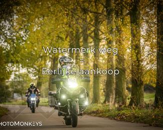 Herfstrit Moerzeke photo