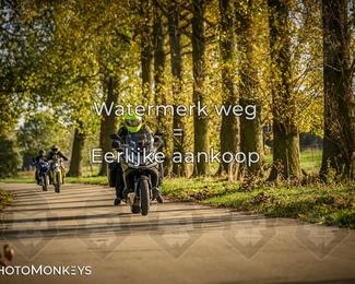 Herfstrit Moerzeke photo