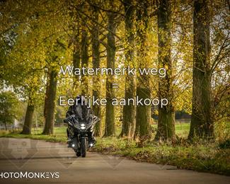 Herfstrit Moerzeke photo