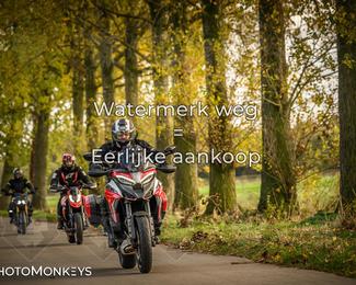 Herfstrit Moerzeke photo