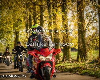 Herfstrit Moerzeke photo