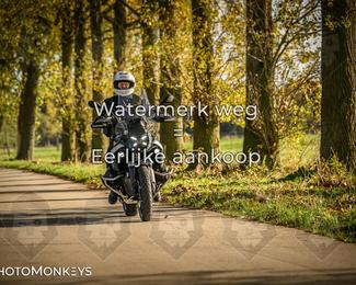 Herfstrit Moerzeke photo