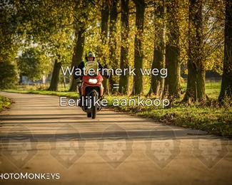 Herfstrit Moerzeke photo