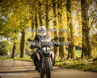 Herfstrit Moerzeke photo