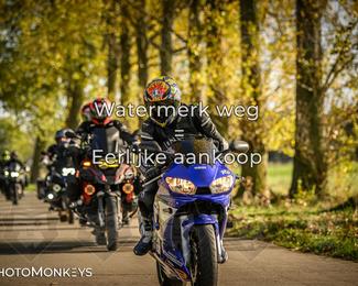 Herfstrit Moerzeke photo