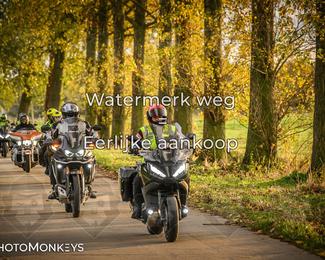 Herfstrit Moerzeke photo