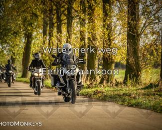 Herfstrit Moerzeke photo