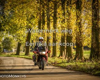 Herfstrit Moerzeke photo