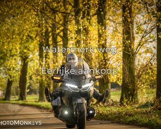 Balade d’automne Moerzeke photo