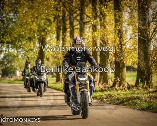 Herfstrit Moerzeke photo