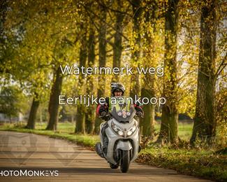 Herfstrit Moerzeke photo