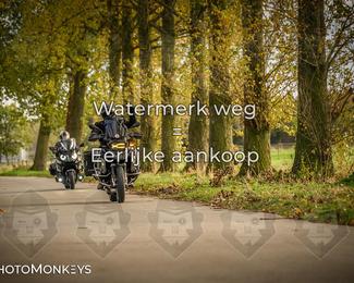 Herfstrit Moerzeke photo