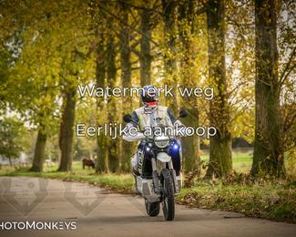 Herfstrit Moerzeke photo