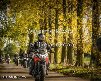 Herfstrit Moerzeke photo