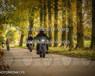 Herfstrit Moerzeke photo