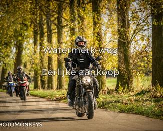 Herfstrit Moerzeke photo