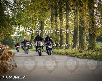 Balade d’automne Moerzeke photo