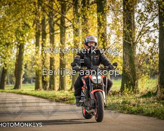 Balade d’automne Moerzeke photo