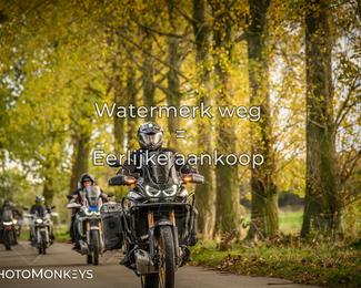 Herfstrit Moerzeke photo