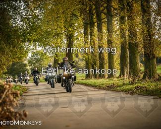 Herfstrit Moerzeke photo